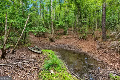 1.5 Acres Mt Pleasant Road, Clyo, GA 31303 - Photo 11