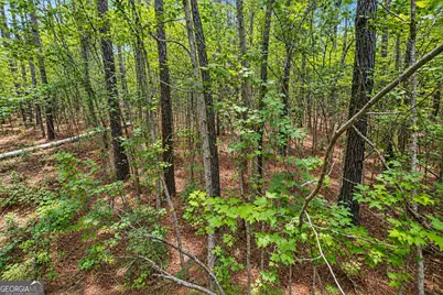 1.5 Acres Mt Pleasant Road, Clyo, GA 31303 - Photo 7
