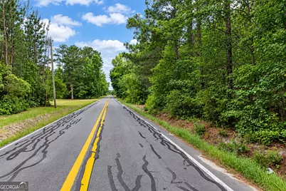 1.5 Acres Mt Pleasant Road, Clyo, GA 31303 - Photo 15