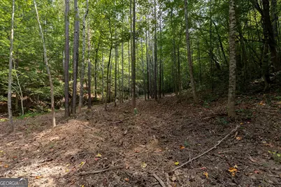 3280 Old Burnt Mountain Road TRACT #3, Jasper, GA 30143 - Photo 13