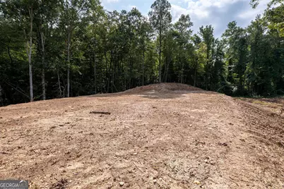 3280 Old Burnt Mountain Road TRACT #3, Jasper, GA 30143 - Photo 7