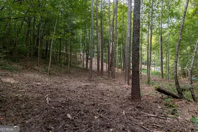 3280 Old Burnt Mountain Road TRACT #3, Jasper, GA 30143 - Photo 19