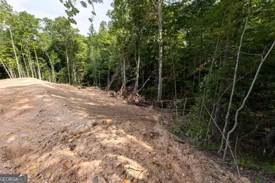3280 Old Burnt Mountain Road TRACT #3, Jasper, GA 30143 - Photo 11