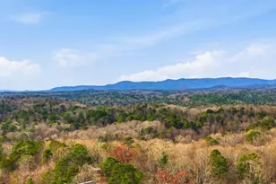 93 2nd St, Ellijay, GA 30540 - Photo 3