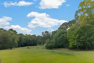 738 Old Greenville Rd, Fayetteville, GA 30215 - Photo 81