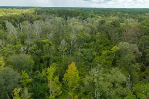 5450 Hambrick Rd, Hahira, GA 31632 - Photo 75