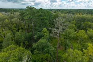 5450 Hambrick Rd, Hahira, GA 31632 - Photo 73