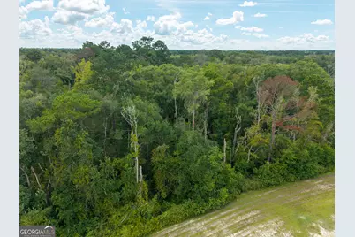 5450 Hambrick Road, Hahira, GA 31632 - Photo 71