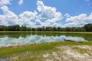 5450 Hambrick Rd, Hahira, GA 31632 - Photo 59