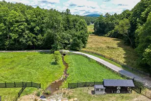 771 Burgess Gap Rd, Morganton, GA 30560 - Photo 39