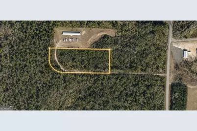 0 N Manor Millwood Road, Ellwood, GA 31552 - Photo 9