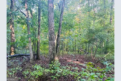 508 Kelley Creek Road, Waco, GA 30182 - Photo 23