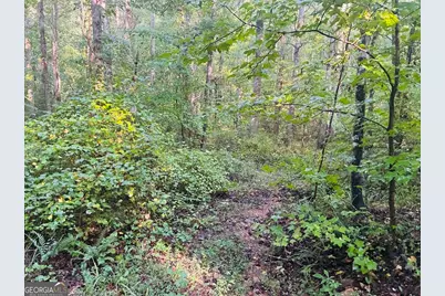 508 Kelley Creek Road, Waco, GA 30182 - Photo 27