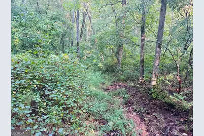508 Kelley Creek Road, Waco, GA 30182 - Photo 35