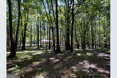239 Coleman Landing Road, Hawkinsville, GA 31036 - Photo 35