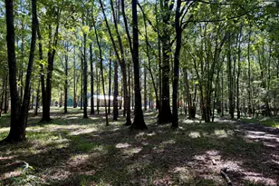 239 Coleman Landing Rd, Hawkinsville, GA 31036 - Photo 35