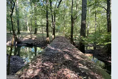 239 Coleman Landing Road, Hawkinsville, GA 31036 - Photo 29
