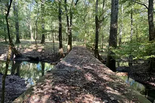 239 Coleman Landing Rd, Hawkinsville, GA 31036 - Photo 29