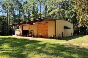 239 Coleman Landing Rd, Hawkinsville, GA 31036 - Photo 3