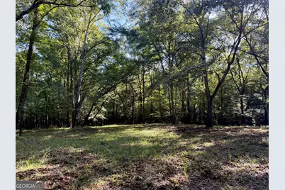239 Coleman Landing Road, Hawkinsville, GA 31036 - Photo 11