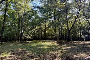 239 Coleman Landing Rd, Hawkinsville, GA 31036 - Photo 11