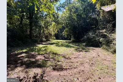 239 Coleman Landing Road, Hawkinsville, GA 31036 - Photo 39