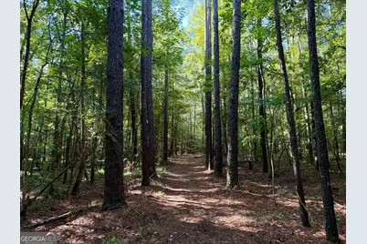 239 Coleman Landing Road, Hawkinsville, GA 31036 - Photo 19