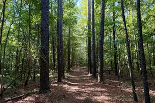 239 Coleman Landing Rd, Hawkinsville, GA 31036 - Photo 19