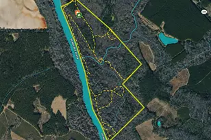 239 Coleman Landing Rd, Hawkinsville, GA 31036 - Photo 5