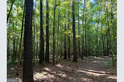 239 Coleman Landing Road, Hawkinsville, GA 31036 - Photo 27