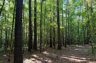 239 Coleman Landing Rd, Hawkinsville, GA 31036 - Photo 27