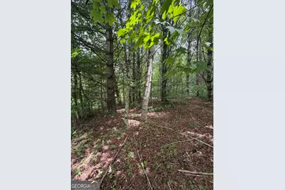 0 Baker Creek Road, Suches, GA 30572 - Photo 11