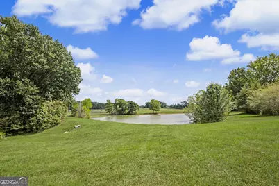 1955 Line Creek Rd, Brooks, GA 30205 - Photo 55