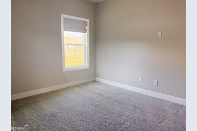 46 Will Banks, Senoia, GA 30276 - Photo 15