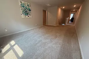 228 Cranapple Ln, McDonough, GA 30253 - Photo 37