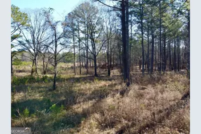 300 Old Social Circle Road, Social Circle, GA 30025 - Photo 7
