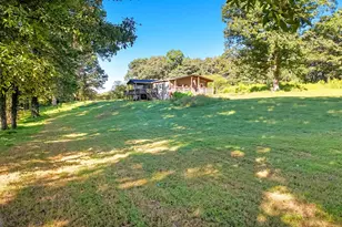 701 Hollywood Church Rd, Clarkesville, GA 30523 - Photo 33