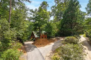 405 Donna Lee Ln, Mineral Bluff, GA 30559 - Photo 47