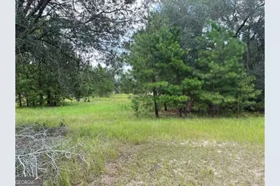10532 Stillmore Highway, Metter, GA 30439 - Photo 3