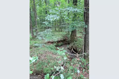 876 Newton Road, Lagrange, GA 30240 - Photo 31