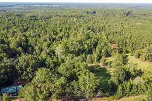 2734 Flat Shoals Rd, Concord, GA 30206 - Photo 41