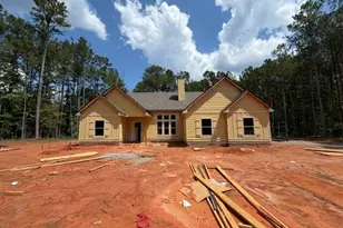 160 Wilkinson Rd, Hogansville, GA 30230 - Photo 1