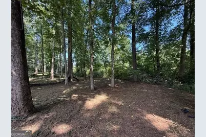 210 Hamilton Drive, Newnan, GA 30263 - Photo 9