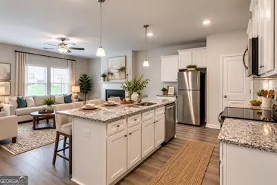11697 Mendenhall Court, Hampton, GA 30228 - Photo 3