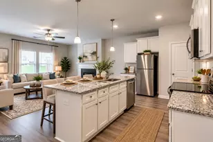 11697 Mendenhall Ct, Hampton, GA 30228 - Photo 3