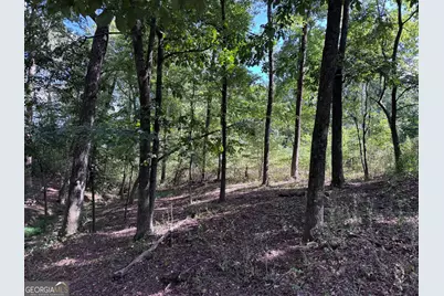 8126 Skitts Mountain Road, Lula, GA 30554 - Photo 5