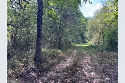 8126 Skitts Mountain Road, Lula, GA 30554 - Photo 17