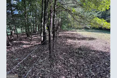 8126 Skitts Mountain Road, Lula, GA 30554 - Photo 3