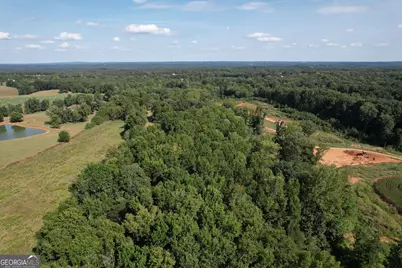 8126 Skitts Mountain Road, Lula, GA 30554 - Photo 31