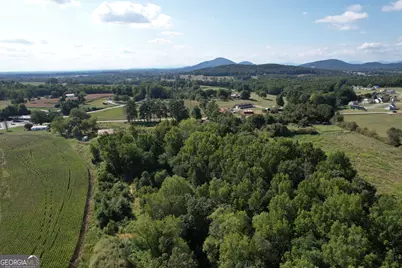 8126 Skitts Mountain Road, Lula, GA 30554 - Photo 27